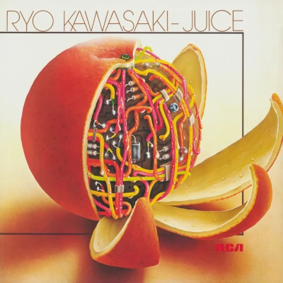 Ryo Kawasaki Juice