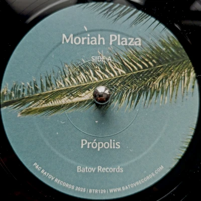 Moriah Plaza Propolis Moriah Plaza Propolis