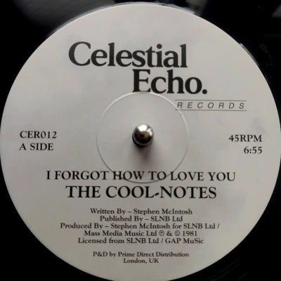 The Cool Notes I Forgot How To Love You The Cool Notes I Forgot How To Love You