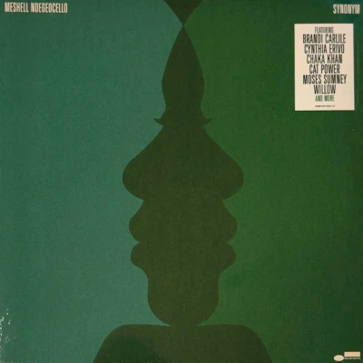 Meshell Ndegeocello Synonym